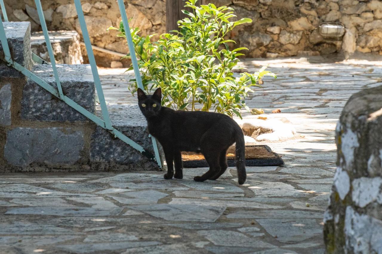 Tranquil Stone Garden House Villa Kalos Exterior foto